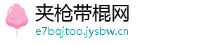 夹枪带棍网